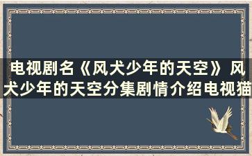 电视剧名《风犬少年的天空》 风犬少年的天空分集剧情介绍电视猫